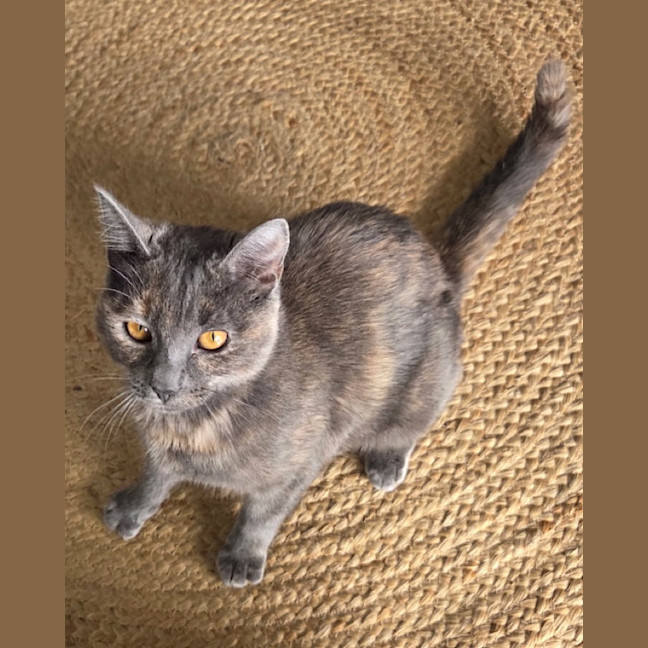Photo of Lilly