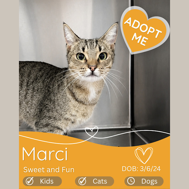 Photo of Marci