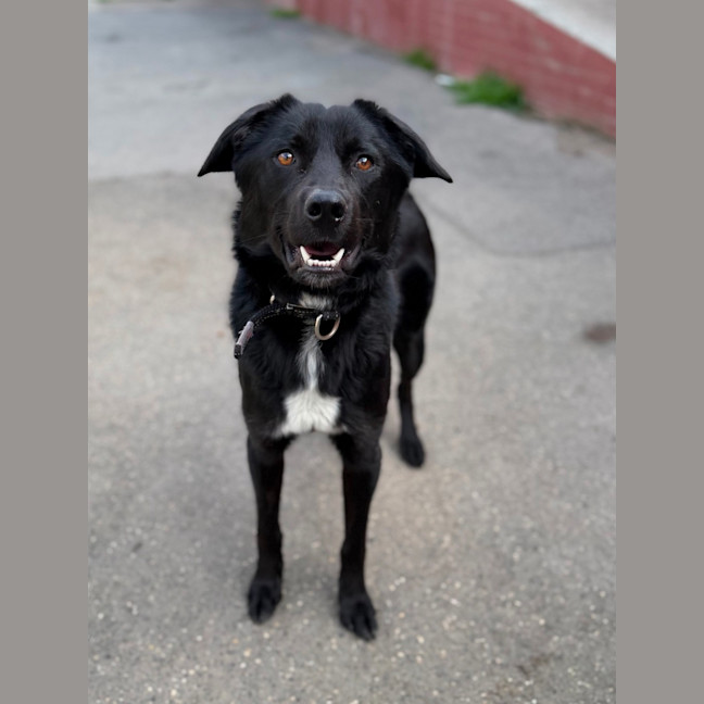Photo of Storm