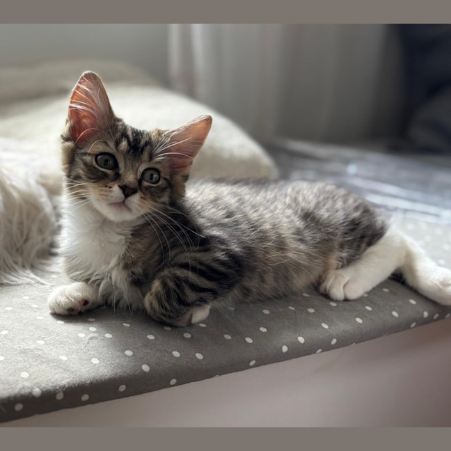 Photo of Pearl And Pirate 