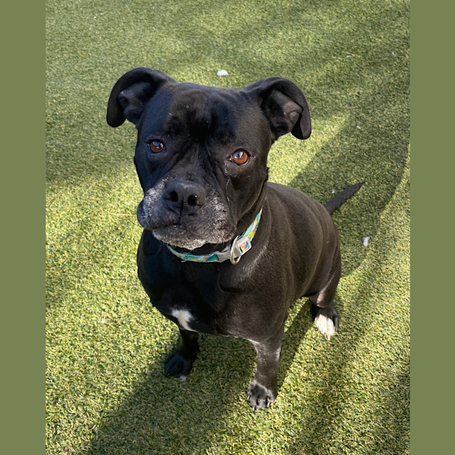 Photo of Xena