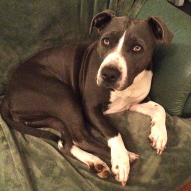 Photo of Storm