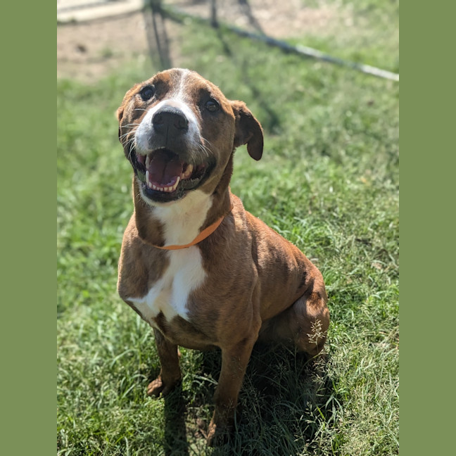 Photo of Ralph
