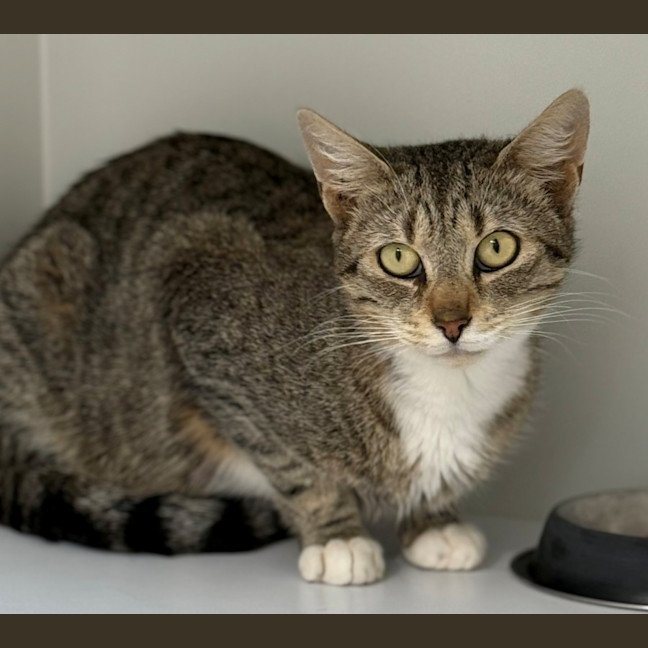 Photo of Arwen (9076)