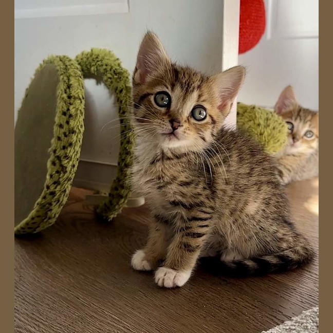 Photo of Hazel