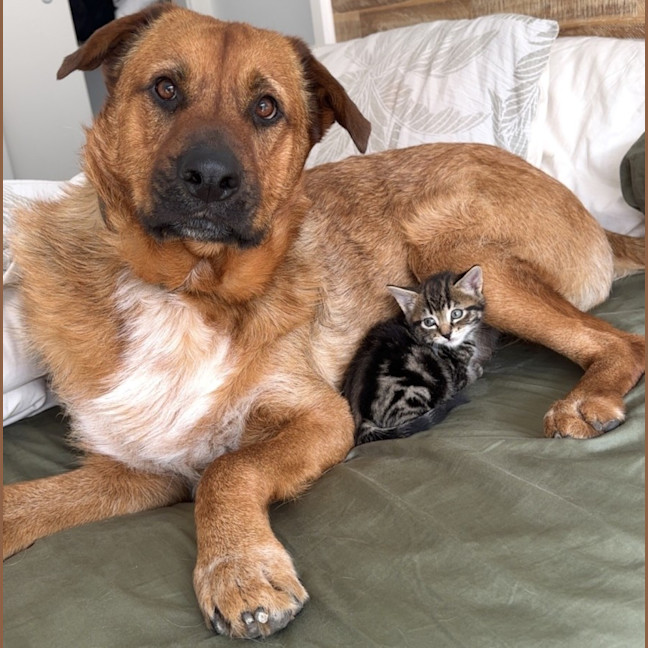 Photo of Milford 💙