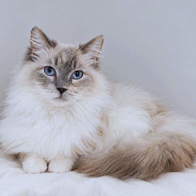 Photo of Betty