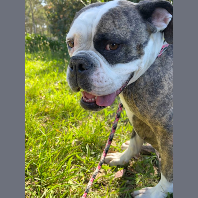 Photo of Lola