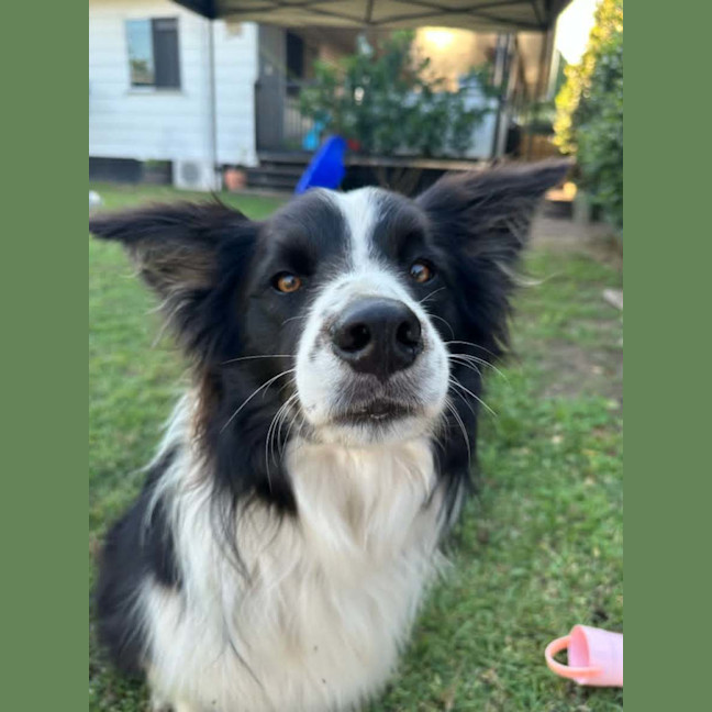 Photo of Lenny