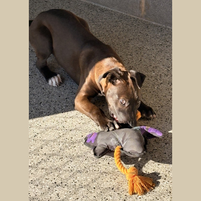 Photo of Nellie