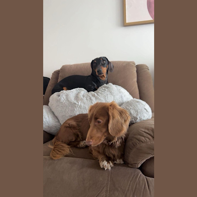 Photo of Axel & Teddy