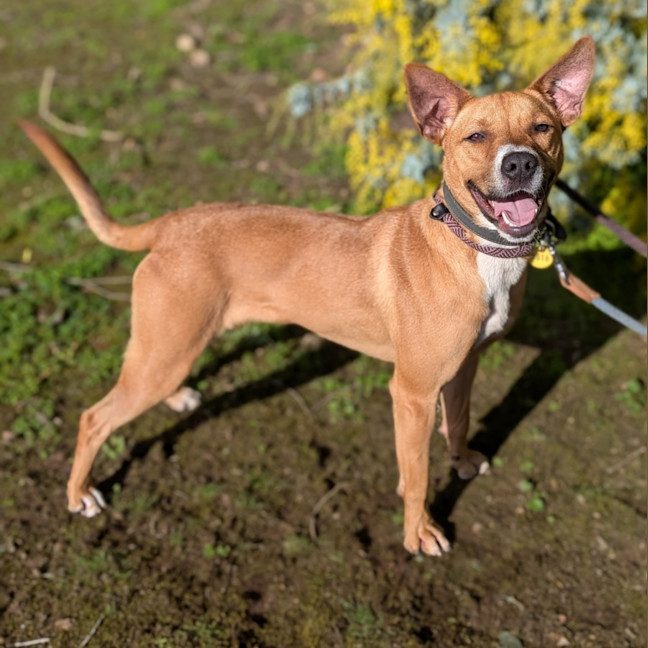 Photo of Turbo