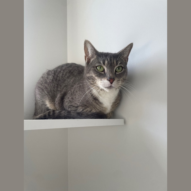 Photo of Atom And Sushi