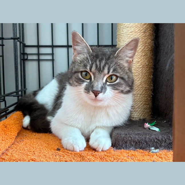 Photo of Bon Bon