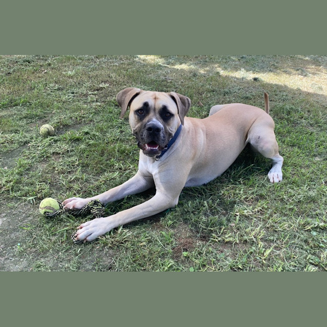 Photo of Phoebe