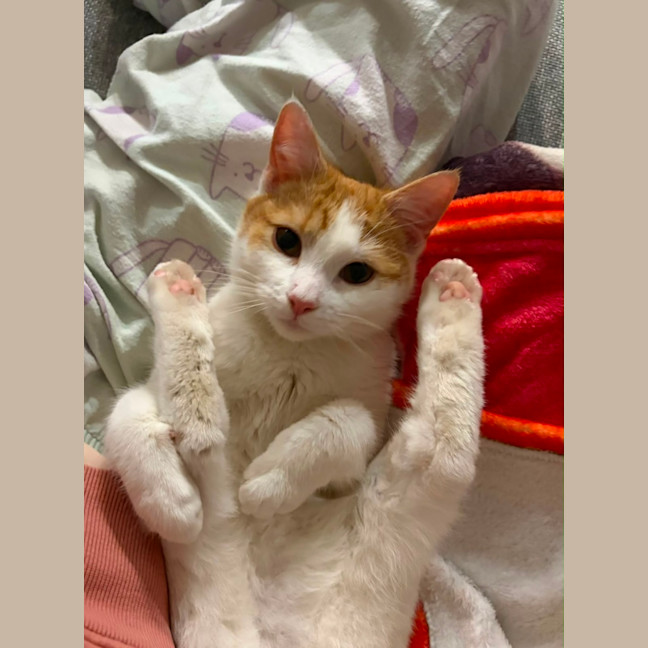 Photo of Millie