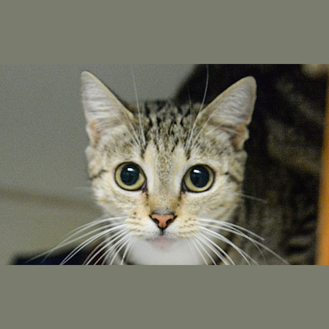 Photo of Maggie