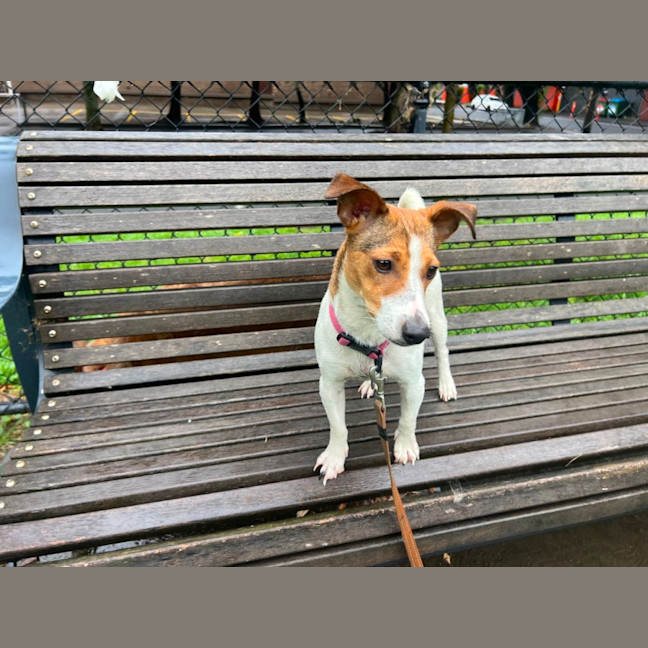 Photo of Miss Odie
