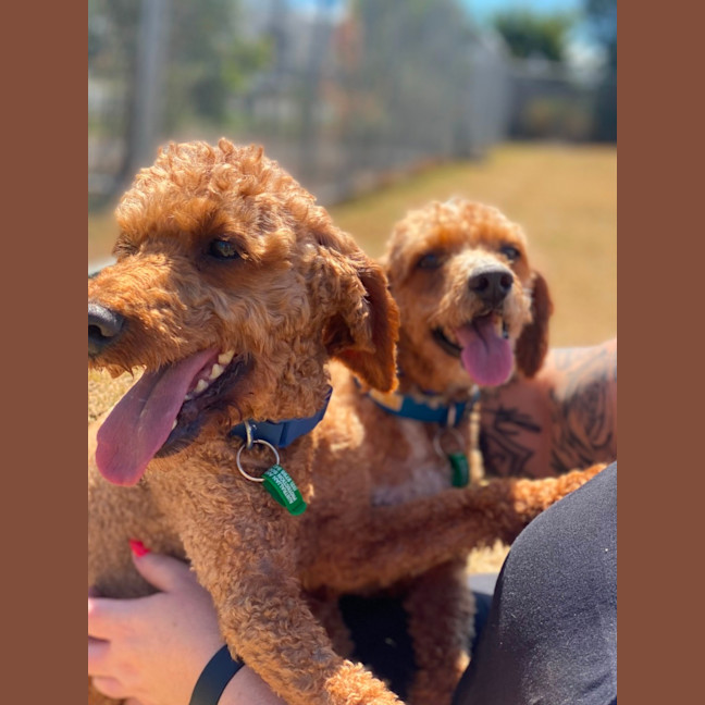 Photo of Penn And Teller 