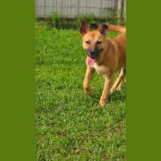 Photo of Caia