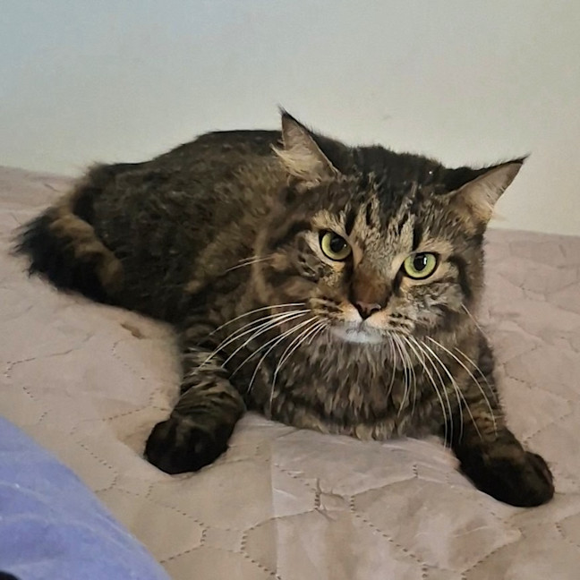 Photo of Tom