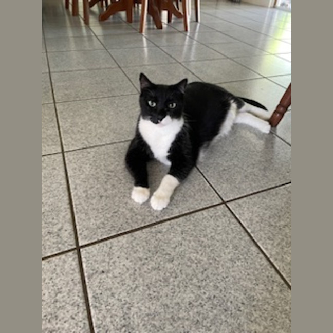 Photo of Damon