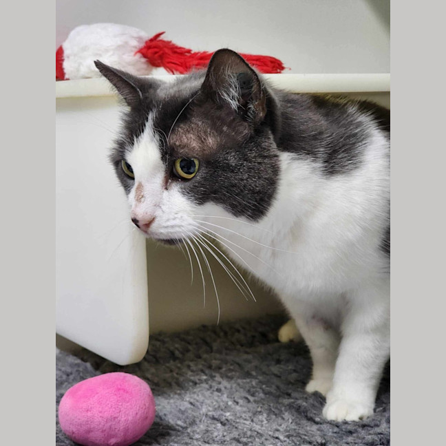 Photo of 🌞 Cillian 6083 🌞