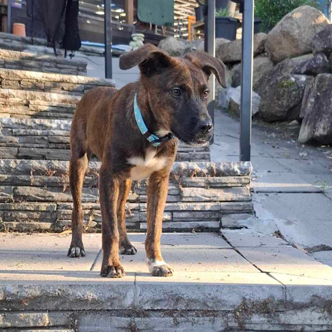 Photo of Georgie Girl