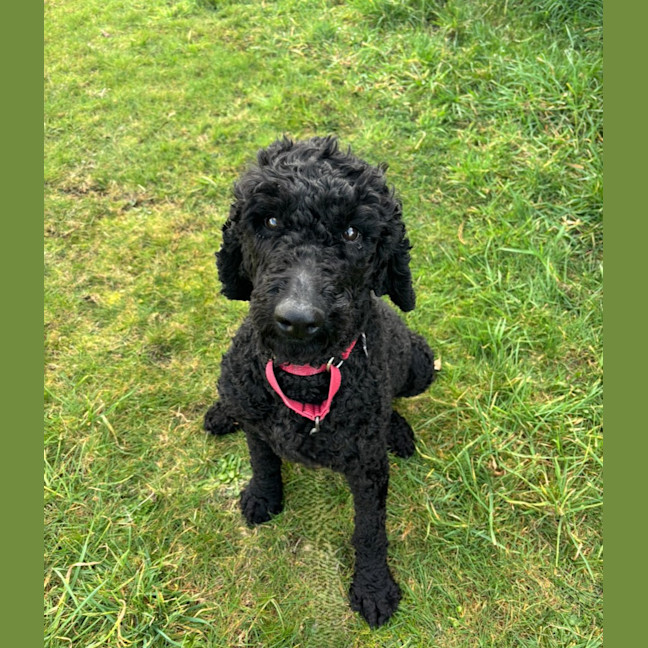 Photo of Sally
