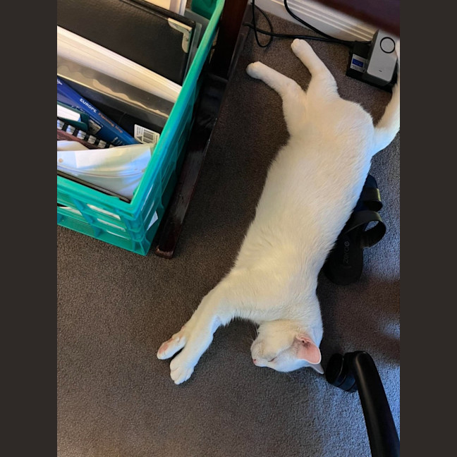 Photo of Ice