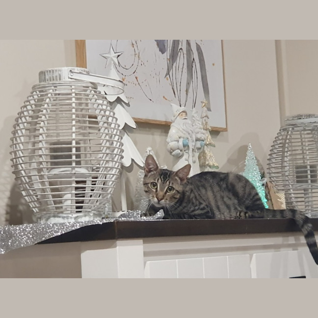 Photo of Willy Moriarty