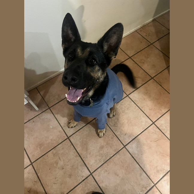 Photo of Sook