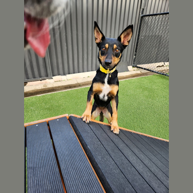 Photo of Lucy