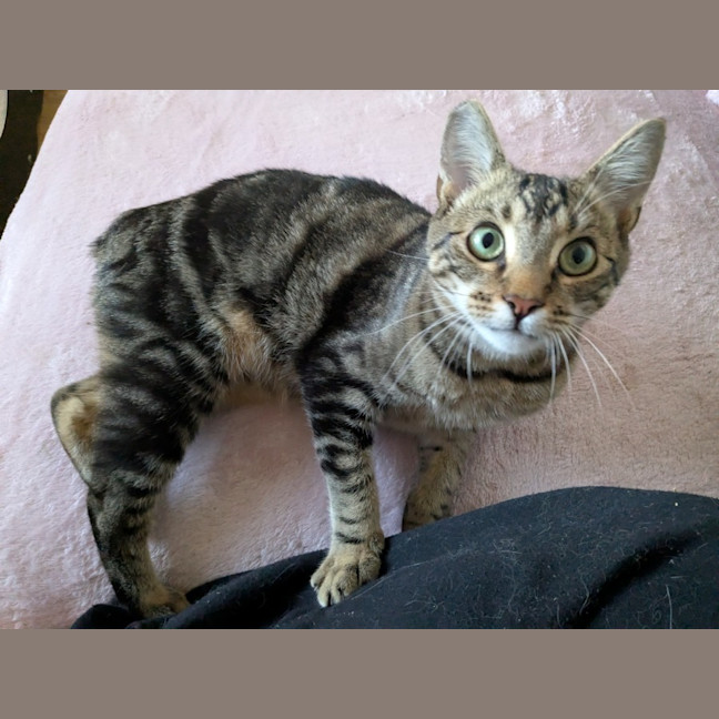 Photo of Spark