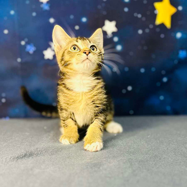 Photo of Bob   Located In Preston 