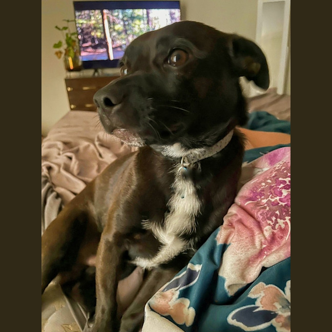 Photo of Jeff (Was Jet)