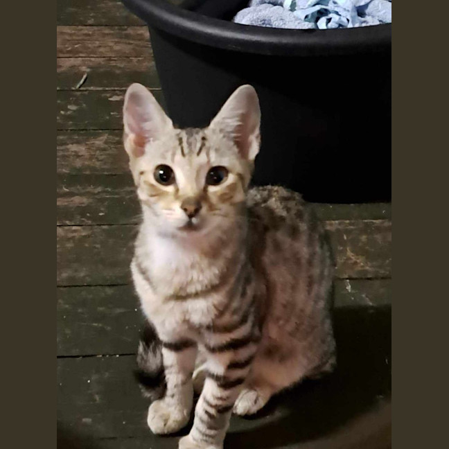 Photo of Birdie