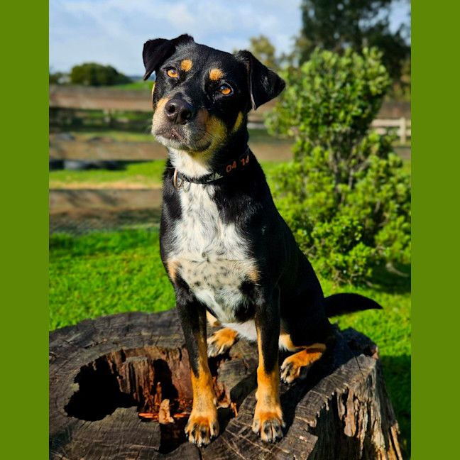 Photo of Kenai