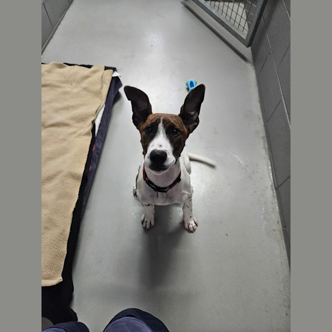 Photo of Maggie