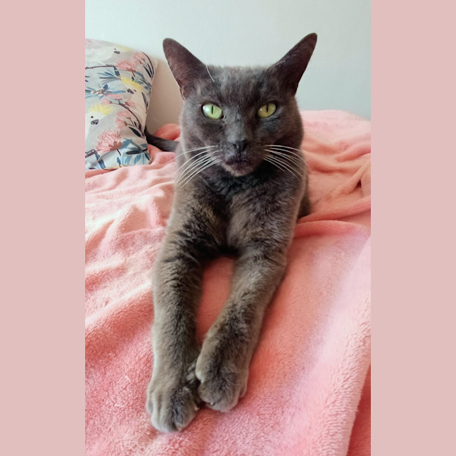 Photo of Alice