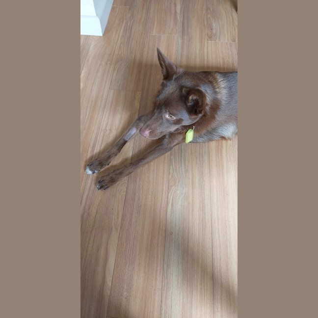 Photo of Ron Weasley