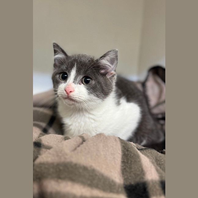 Photo of Theodore 