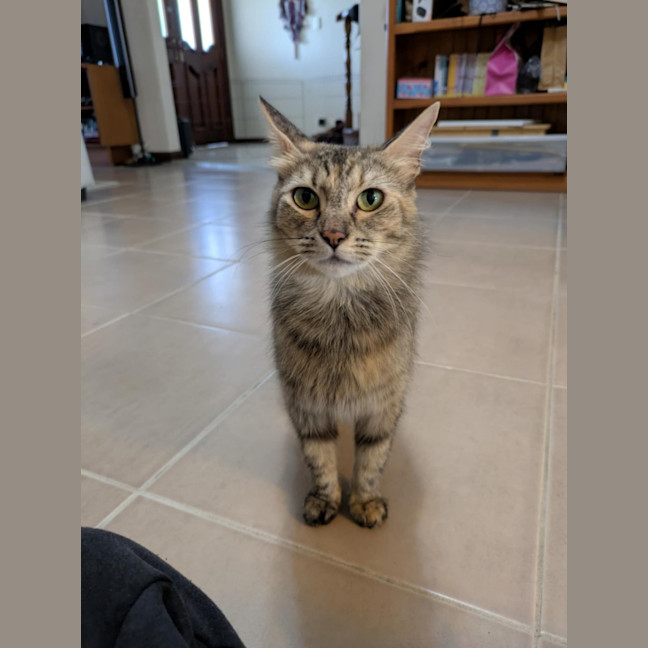 Photo of Queenie♥️