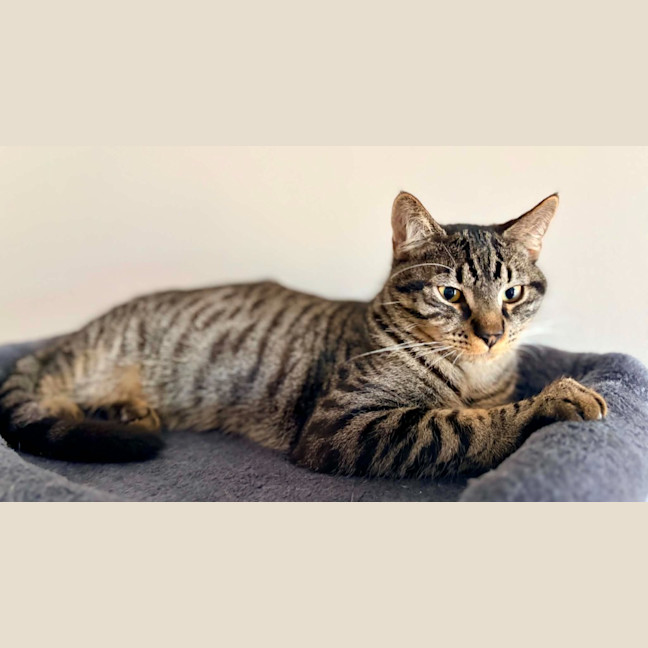 Photo of Reetee