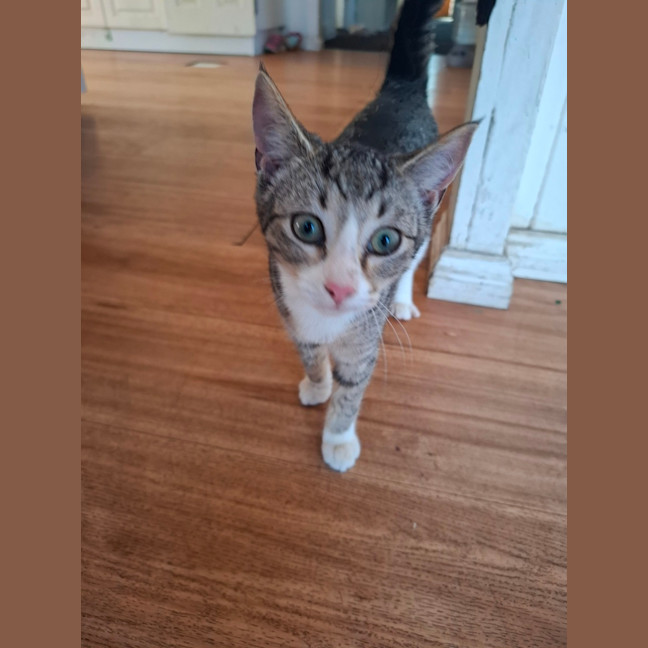 Photo of Missy