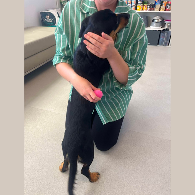 Photo of ✈ Jett 5687 ✈