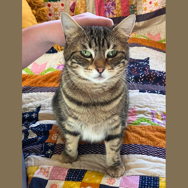 Photo of Sugar
