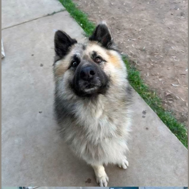 Photo of Kodak