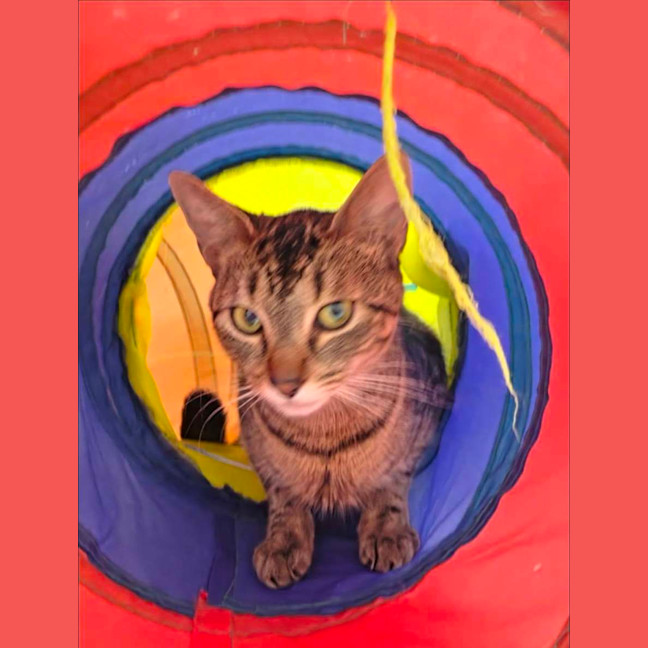 Photo of Cassey