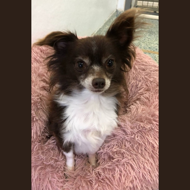 Photo of Marble (Please Read My Bio)